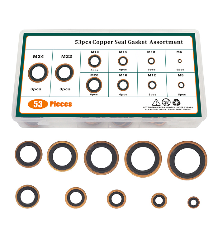 Copper Seal Gasket 53PCS